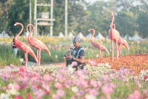 BIB: 
                            <button type="button" onclick="openModal(27344095)" class="btn btn-primary btn-sm float-right btn-popup" data-toggle="modal" data-target=".modal-high-quality">
                        <i class="fas fa-shopping-cart"></i> Add to Cart
                    </button>
                                            <button type="button" onclick="isThisMe(27344095, true)" class="btn btn-success btn-sm float-right btn-popup btn-isme hidden" data-toggle="tooltip" data-placement="bottom" title="นี่คือรูปของคุณใช่ไหม คลิกที่นี่เพื่อเอาเข้าอัลบั้ม">
                        <i class="fas fa-plus"></i> Add to album
                    </button>
                    <button type="button" onclick="isThisMe(27344095, false)" class="btn btn-warning btn-sm float-right btn-popup btn-isnotme hidden">
                        <i class="fas fa-ban"></i> Remove from album
                    </button>